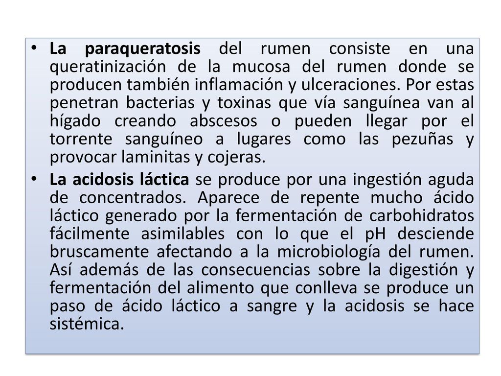 La paraqueratosis del rumen consiste en una queratinización de la mucosa del rumen donde se producen también inflamación y ulceraciones. Por estas penetran bacterias y toxinas que vía sanguínea van al hígado creando abscesos o pueden llegar por el torrente sanguíneo a lugares como las pezuñas y provocar laminitas y cojeras.