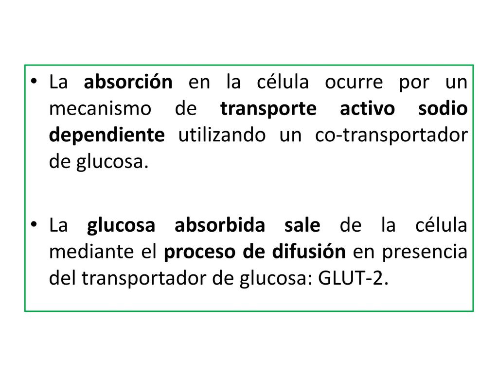 La absorción en la célula ocurre por un mecanismo de transporte activo sodio dependiente utilizando un co-transportador de glucosa.