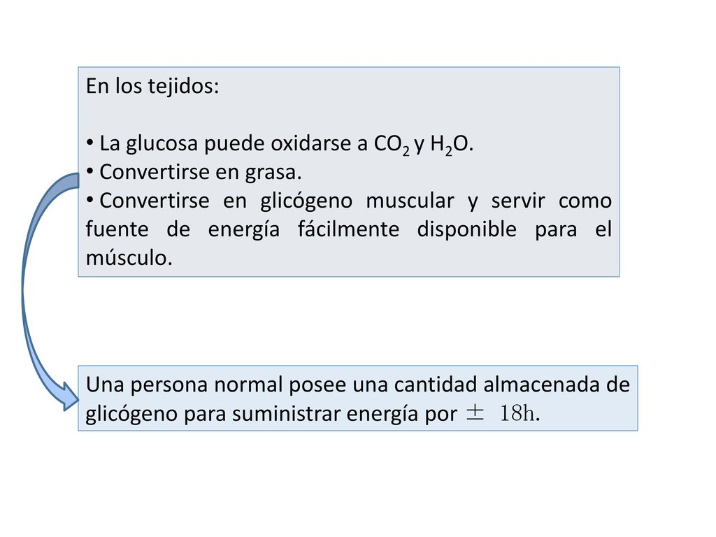 En los tejidos: La glucosa puede oxidarse a CO2 y H2O. Convertirse en grasa.