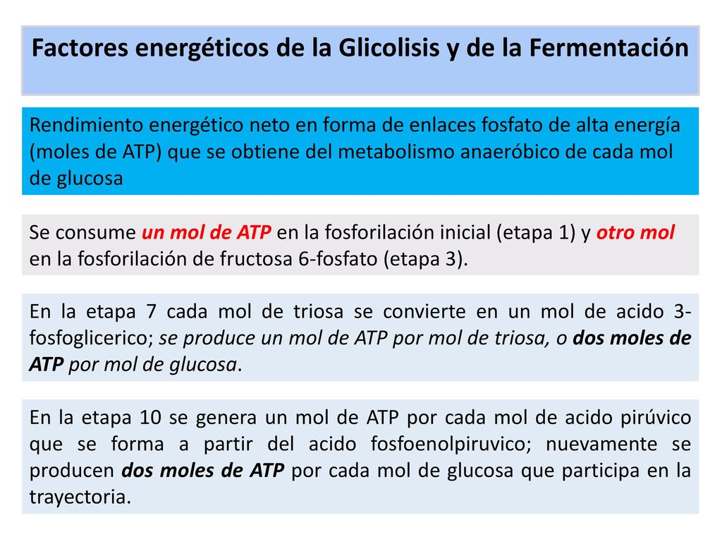 Factores energéticos de la Glicolisis y de la Fermentación