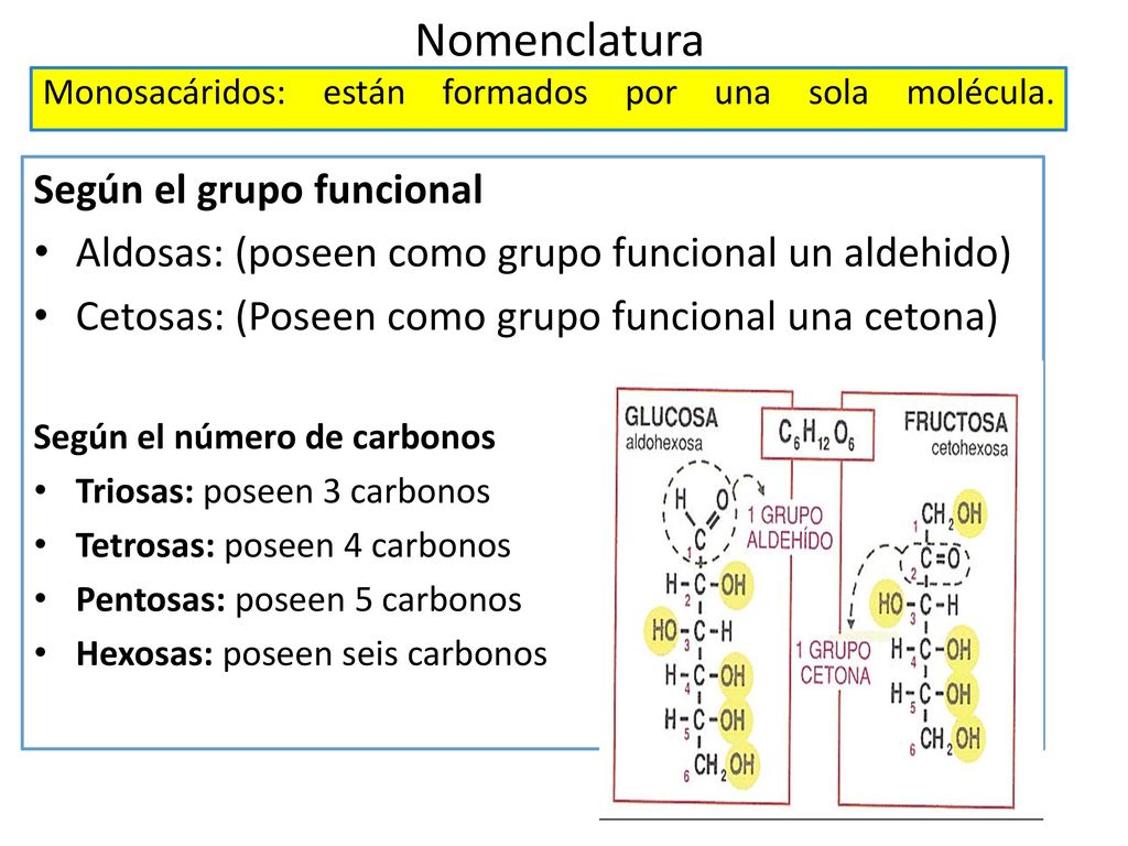 Nomenclatura Monosacáridos: están formados por una sola molécula.