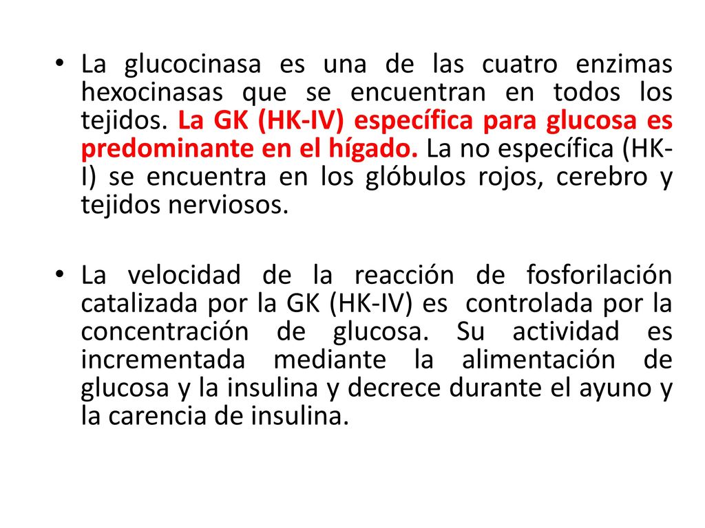 La glucocinasa es una de las cuatro enzimas hexocinasas que se encuentran en todos los tejidos. La GK (HK-IV) específica para glucosa es predominante en el hígado. La no específica (HK-I) se encuentra en los glóbulos rojos, cerebro y tejidos nerviosos.