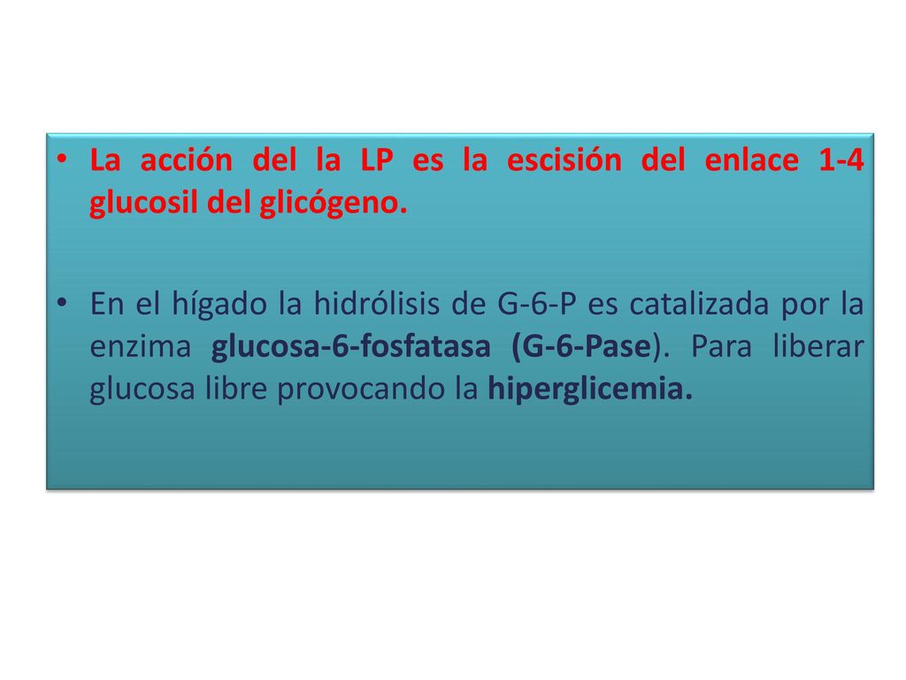 La acción del la LP es la escisión del enlace 1-4 glucosil del glicógeno.