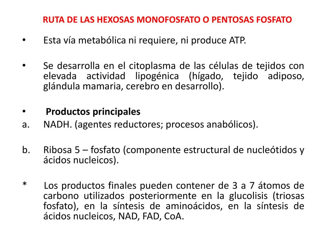 RUTA DE LAS HEXOSAS MONOFOSFATO O PENTOSAS FOSFATO