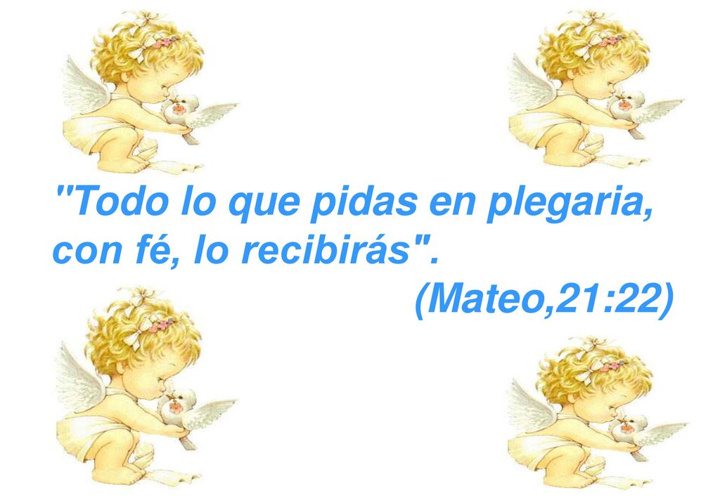 Todo lo que pidas en plegaria, con fé, lo recibirás .