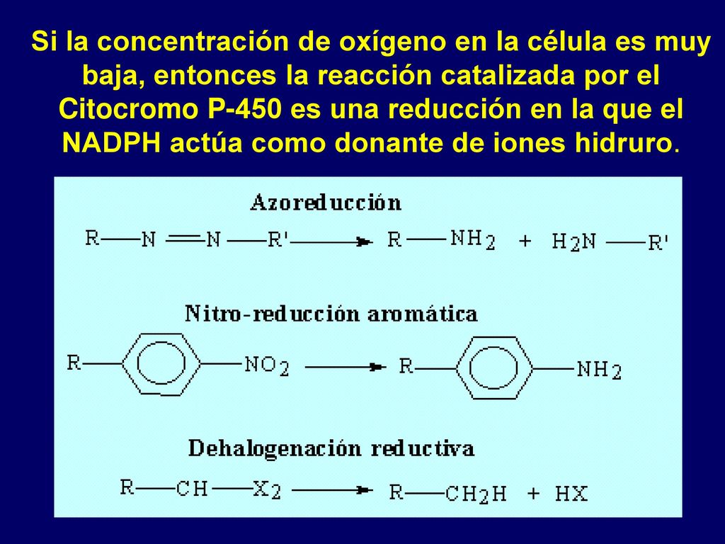 Si la concentración de oxígeno en la célula es muy baja, entonces la reacción catalizada por el Citocromo P-450 es una reducción en la que el NADPH actúa como donante de iones hidruro.