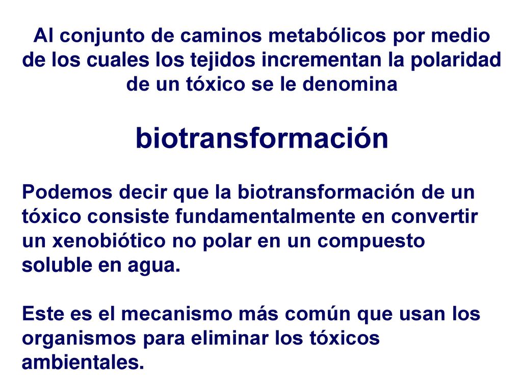 Al conjunto de caminos metabólicos por medio de los cuales los tejidos incrementan la polaridad de un tóxico se le denomina