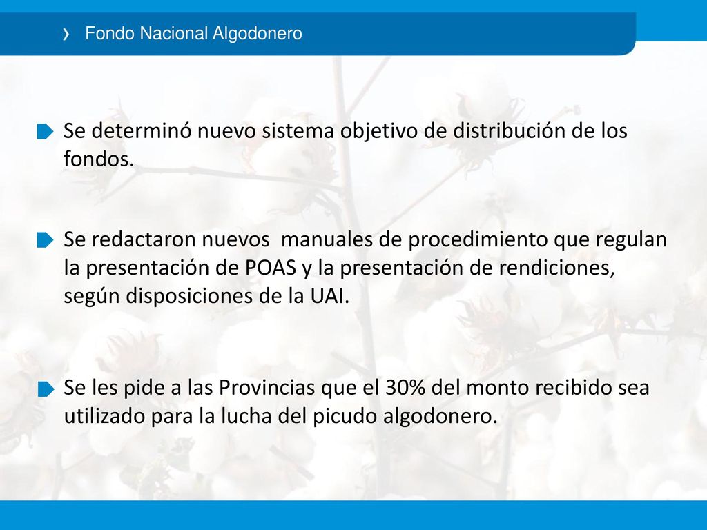 Se determinó nuevo sistema objetivo de distribución de los fondos.