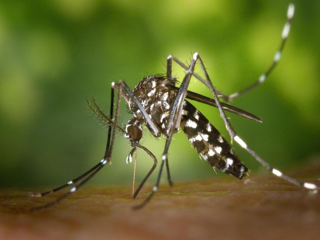 También puede aumentar el número y alcance de enfermedades infecciosas trasmitidas por vectores tales como el Virus de Nilo y la malaria; enfermedades de trasmisión por agua como el cólera o el E.Coli; enfermedades trasmitidas a través de alimentos como la salmonella; la proliferación dañina de algas; y alergias.