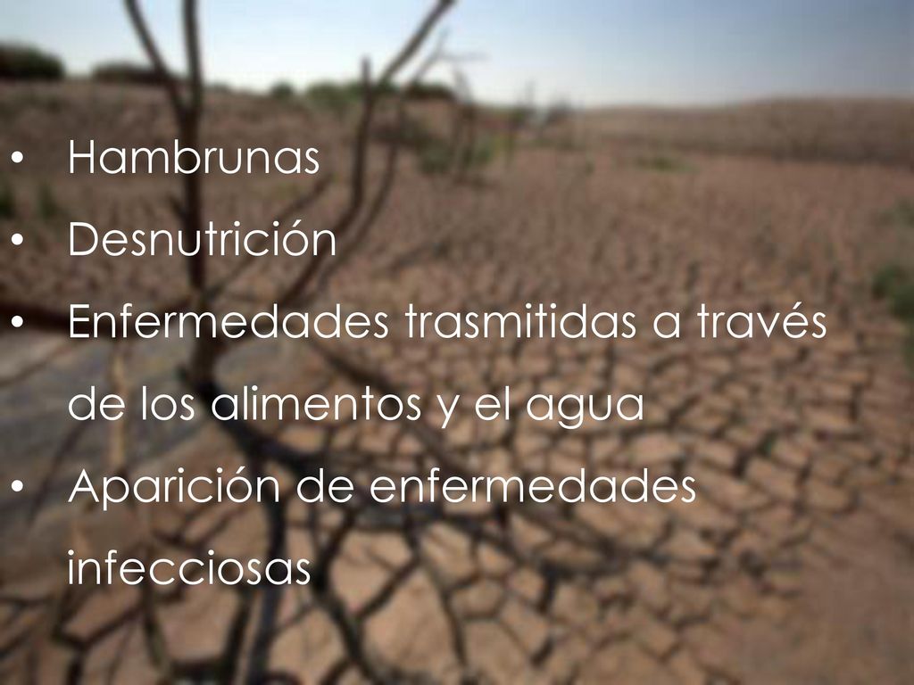 Enfermedades trasmitidas a través de los alimentos y el agua