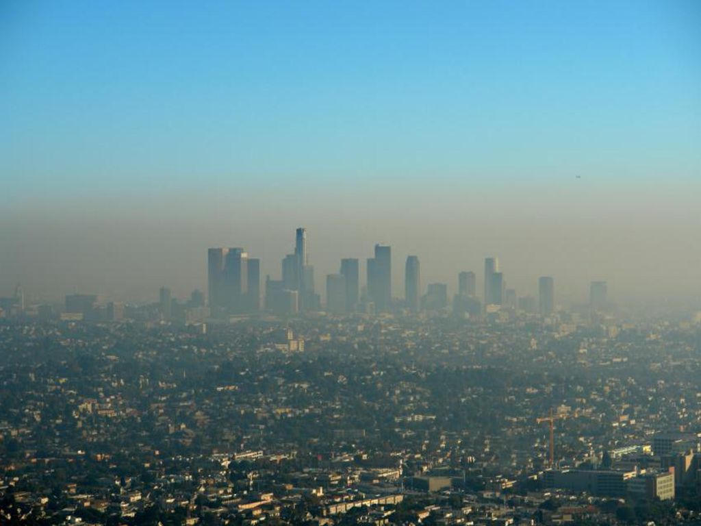 Los fuegos forestales causan que haya pequeñas partículas de materiales quemados en el aire lo cual aumenta la contaminación del aire en ciudades y áreas rurales.