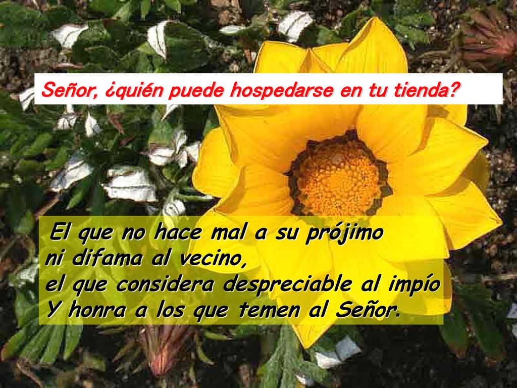 Señor, ¿quién puede hospedarse en tu tienda
