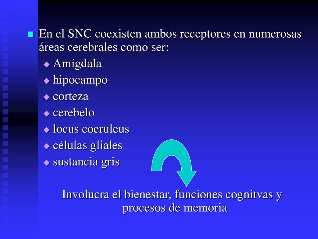 Involucra el bienestar, funciones cognitvas y procesos de memoria