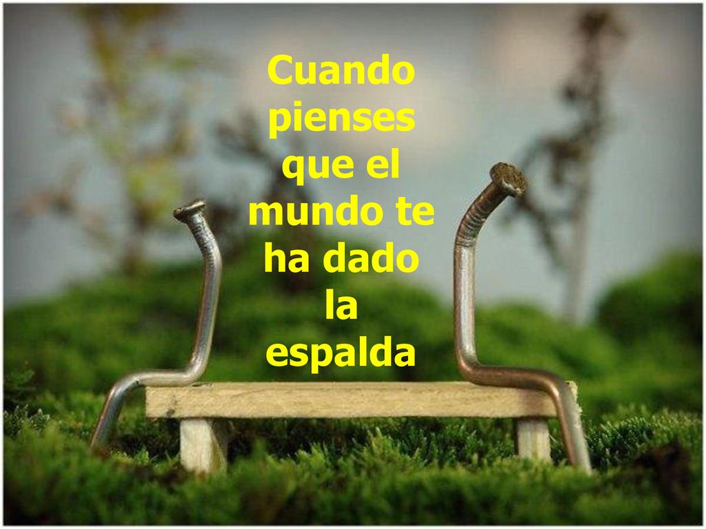Cuando pienses que el mundo te ha dado la espalda
