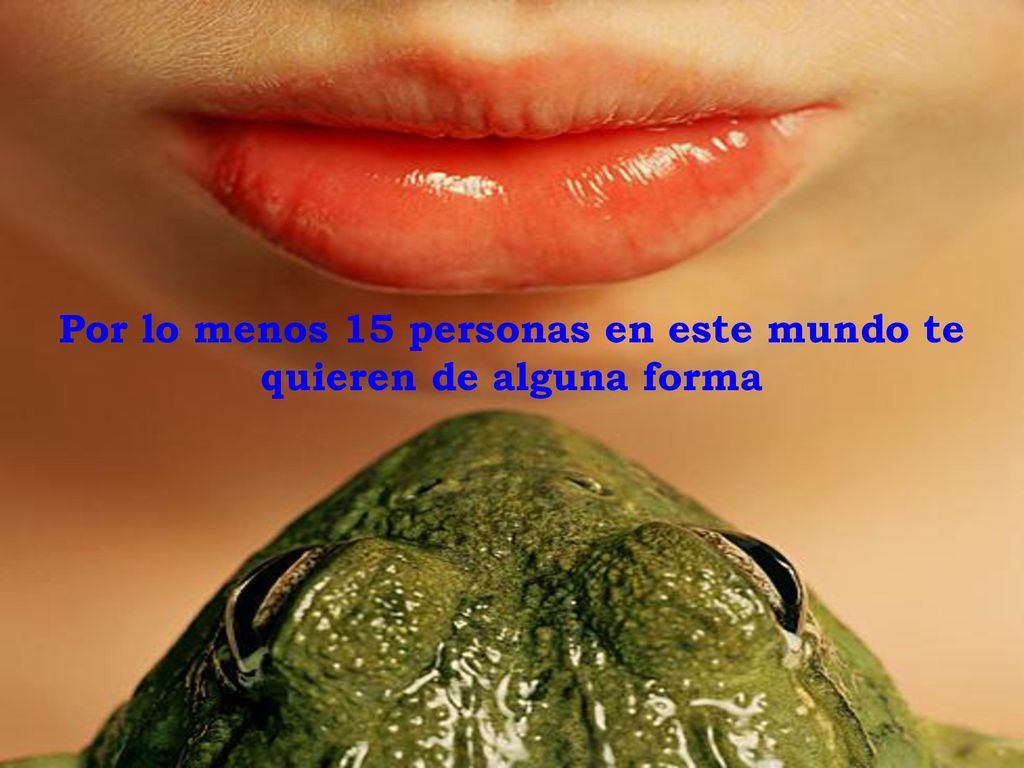 Por lo menos 15 personas en este mundo te quieren de alguna forma