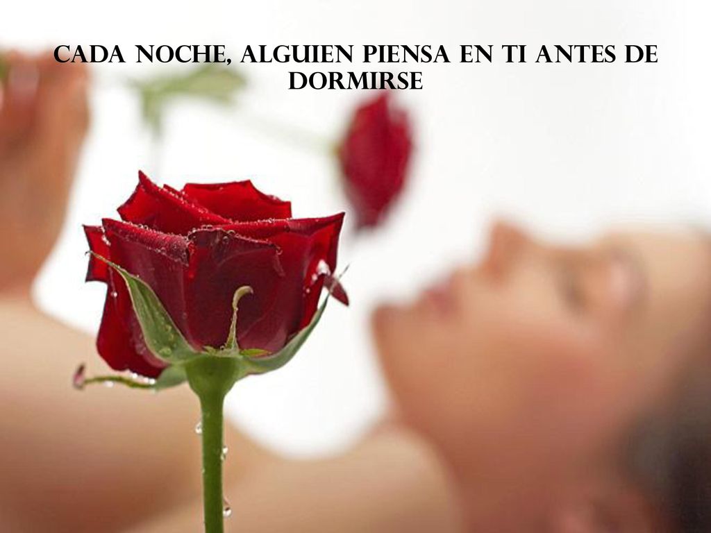 Cada noche, ALGUIEN piensa en ti antes de dormirse