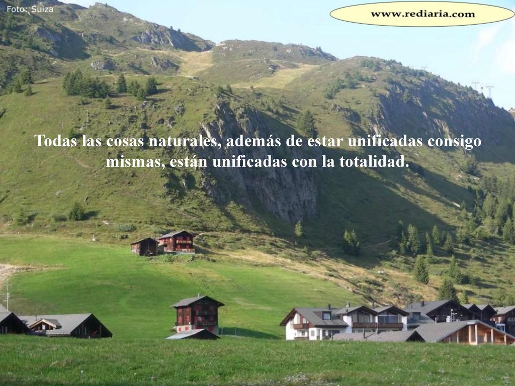 Todas las cosas naturales, además de estar unificadas consigo mismas, están unificadas con la totalidad.