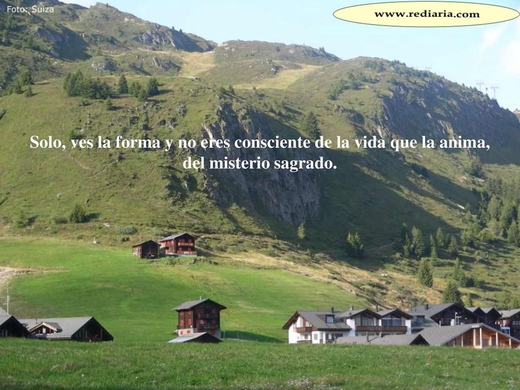 Solo, ves la forma y no eres consciente de la vida que la anima, del misterio sagrado.