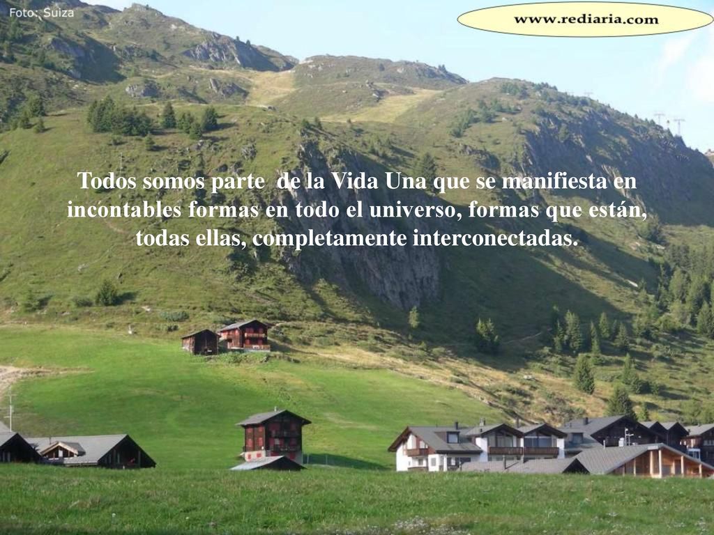 Todos somos parte de la Vida Una que se manifiesta en incontables formas en todo el universo, formas que están, todas ellas, completamente interconectadas.