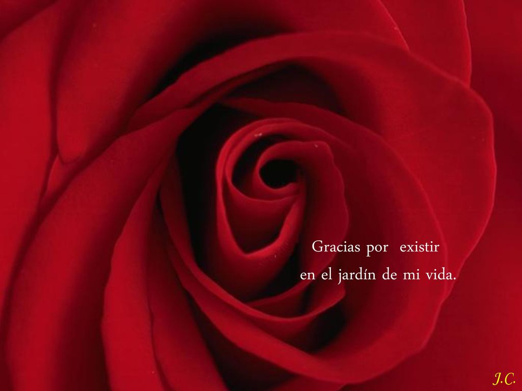 Gracias por existir en el jardín de mi vida.