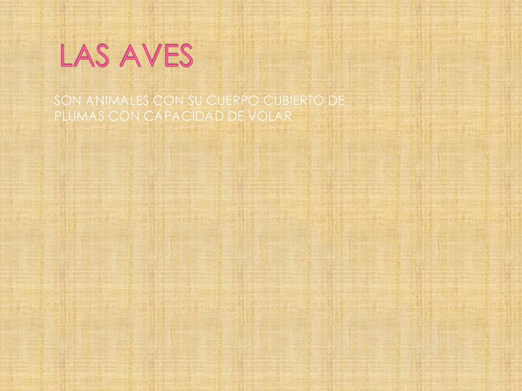 LAS AVES SON ANIMALES CON SU CUERPO CUBIERTO DE PLUMAS CON CAPACIDAD DE VOLAR