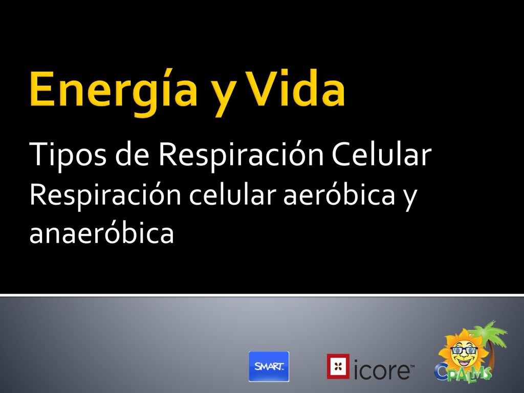Tipos de Respiración Celular Respiración celular aeróbica y anaeróbica