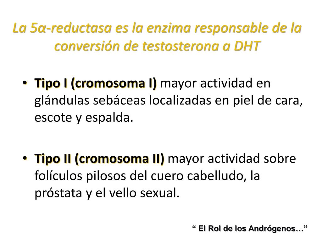 La 5α-reductasa es la enzima responsable de la conversión de testosterona a DHT