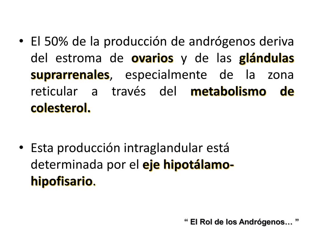 El 50% de la producción de andrógenos deriva del estroma de ovarios y de las glándulas suprarrenales, especialmente de la zona reticular a través del metabolismo de colesterol.