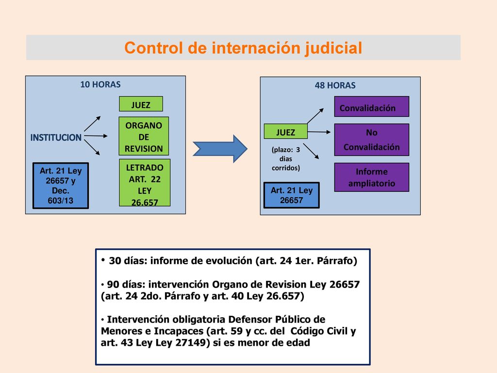 Control de internación judicial (plazo: 3 dias corridos)