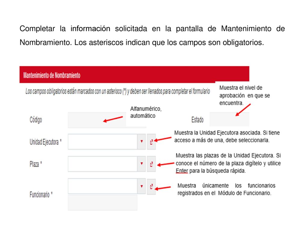 Completar la información solicitada en la pantalla de Mantenimiento de Nombramiento.