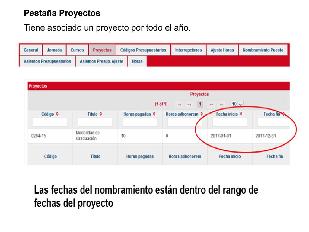 Pestaña Proyectos Tiene asociado un proyecto por todo el año.