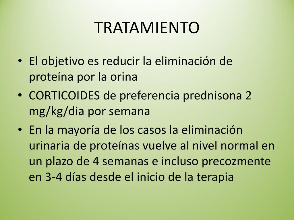 TRATAMIENTO El objetivo es reducir la eliminación de proteína por la orina. CORTICOIDES de preferencia prednisona 2 mg/kg/dia por semana.