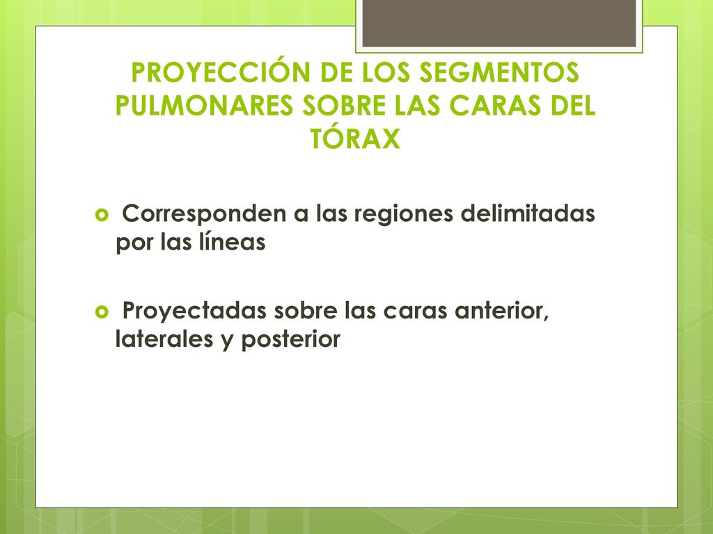 PROYECCIÓN DE LOS SEGMENTOS PULMONARES SOBRE LAS CARAS DEL TÓRAX