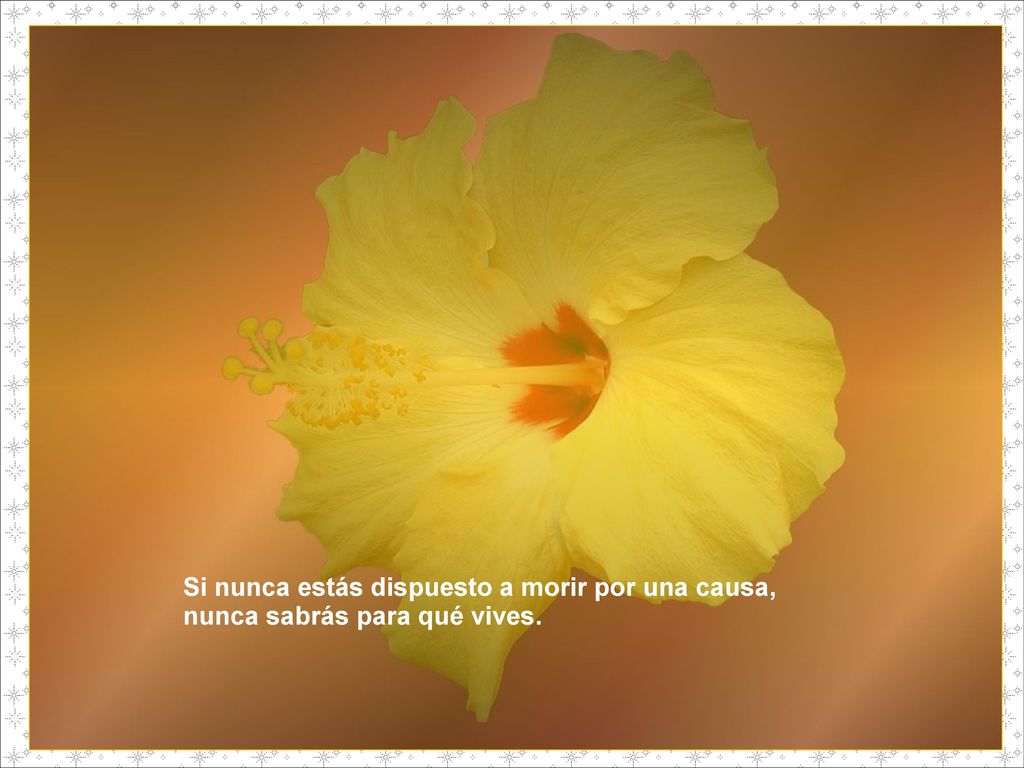Si nunca estás dispuesto a morir por una causa,