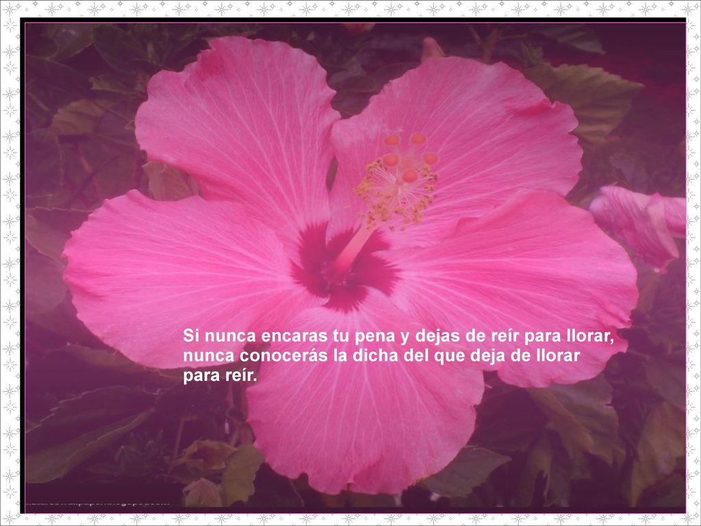 Si nunca encaras tu pena y dejas de reír para llorar, nunca conocerás la dicha del que deja de llorar para reír.