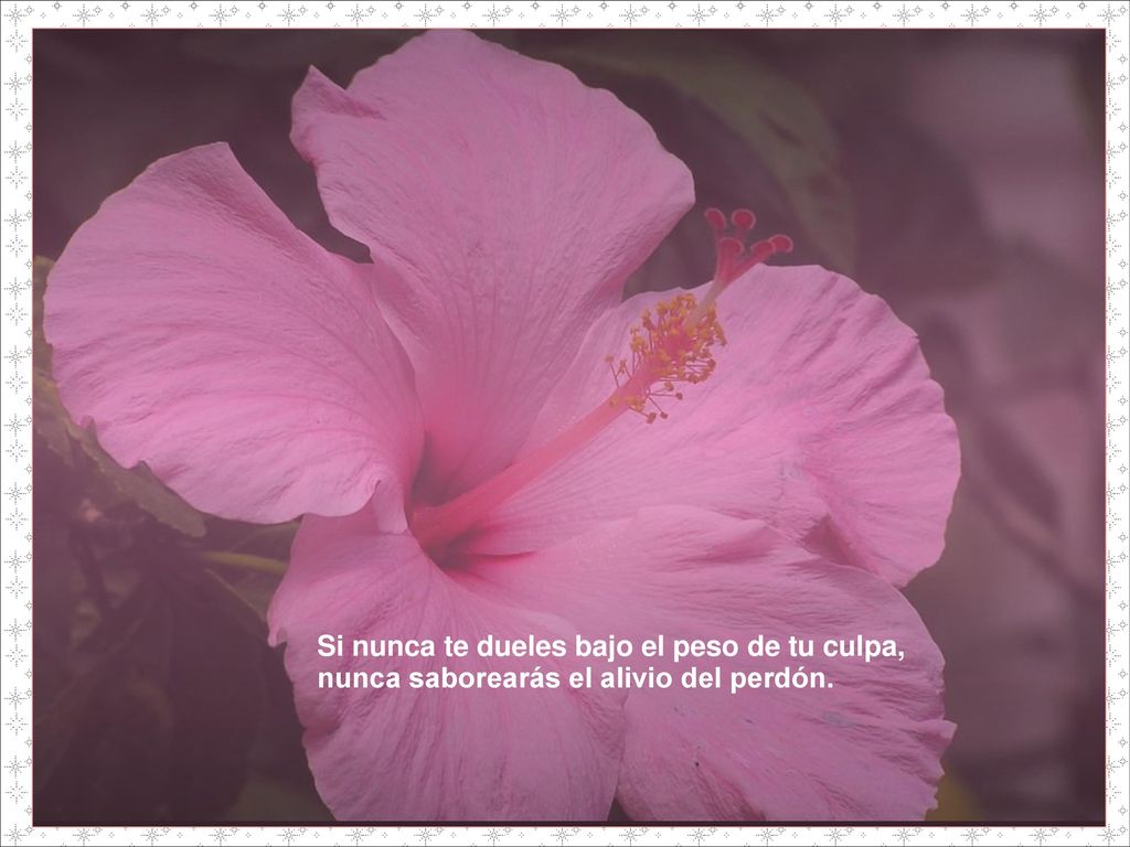 Si nunca te dueles bajo el peso de tu culpa,