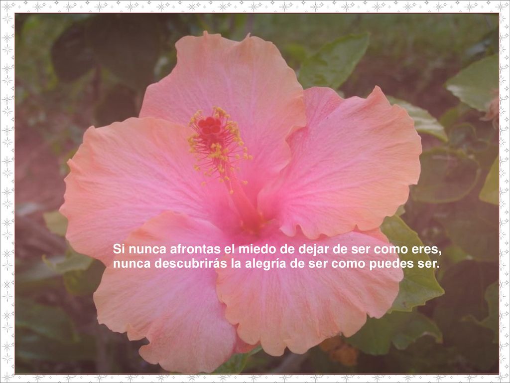 Si nunca afrontas el miedo de dejar de ser como eres,