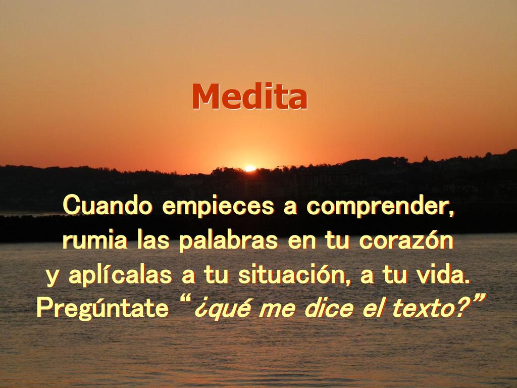 Medita Cuando empieces a comprender, rumia las palabras en tu corazón