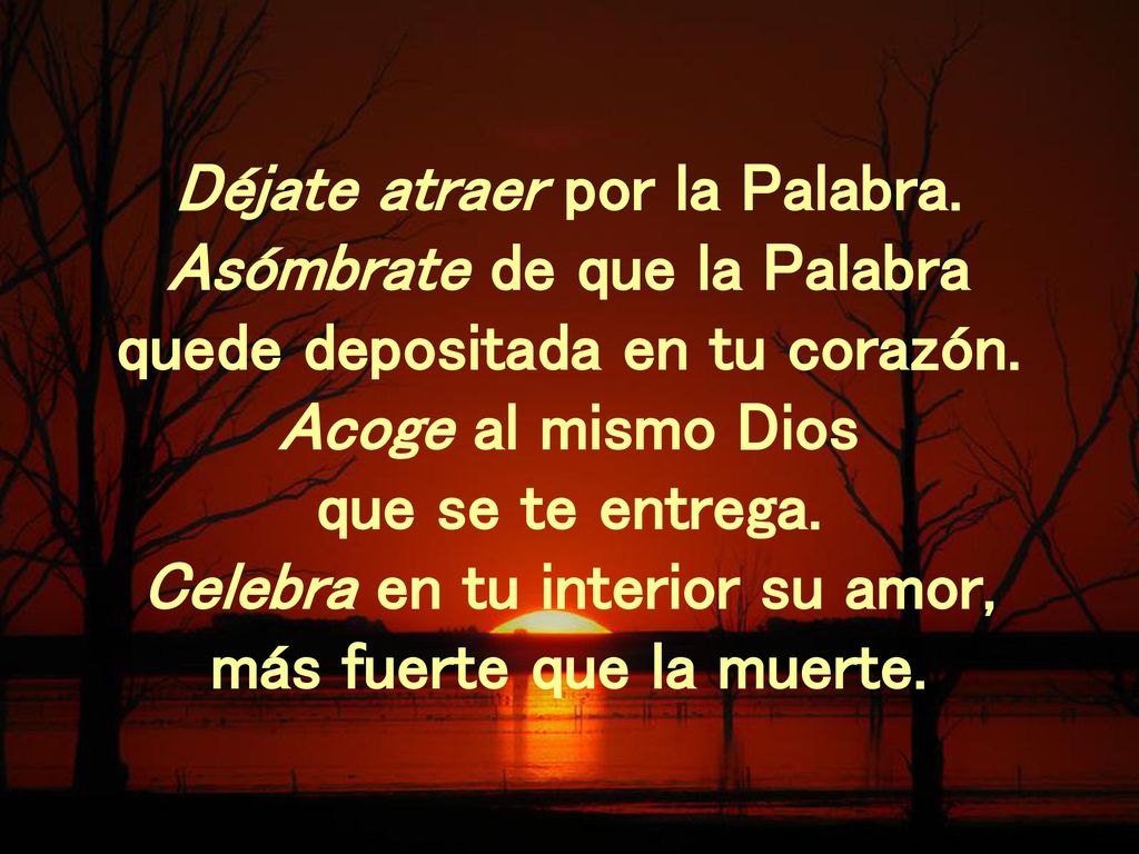 Déjate atraer por la Palabra. Asómbrate de que la Palabra