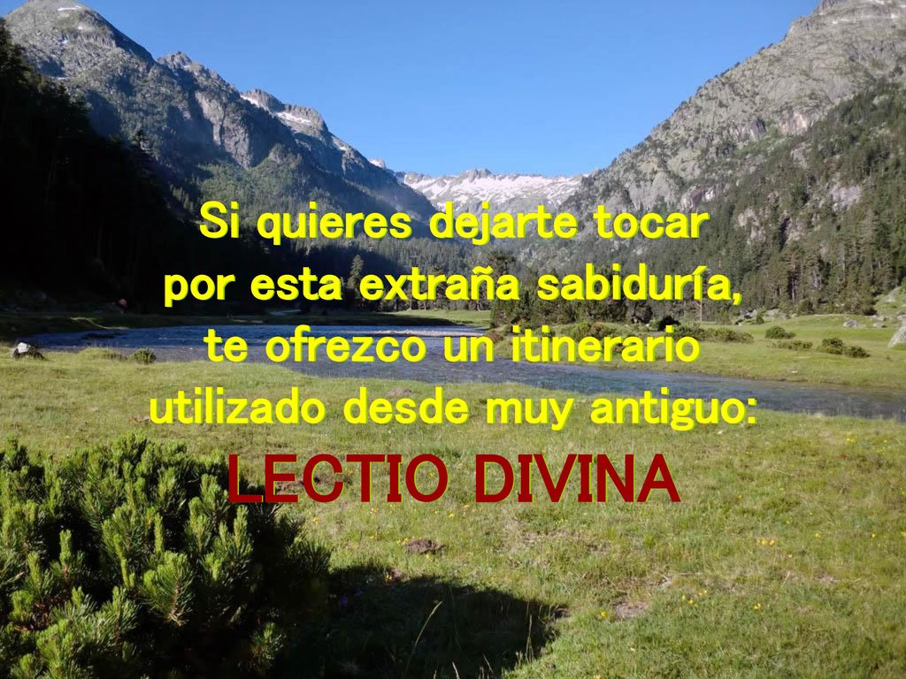 LECTIO DIVINA Si quieres dejarte tocar por esta extraña sabiduría,