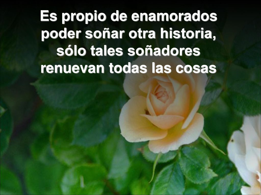 Es propio de enamorados poder soñar otra historia, sólo tales soñadores renuevan todas las cosas
