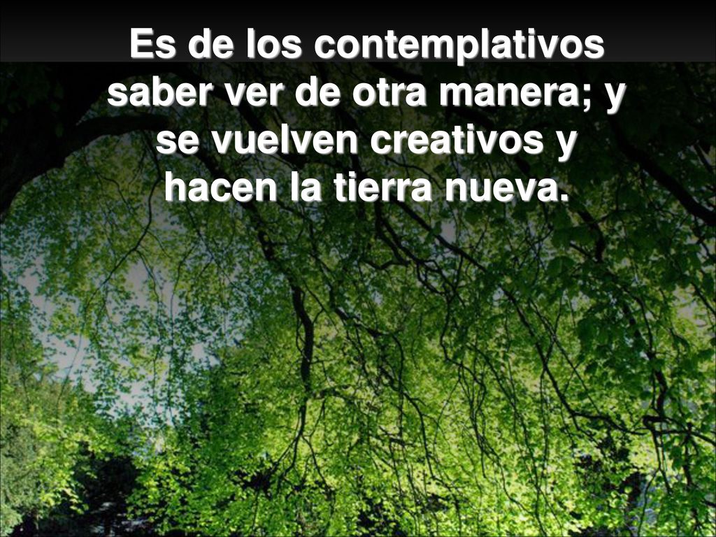 Es de los contemplativos saber ver de otra manera; y se vuelven creativos y hacen la tierra nueva.
