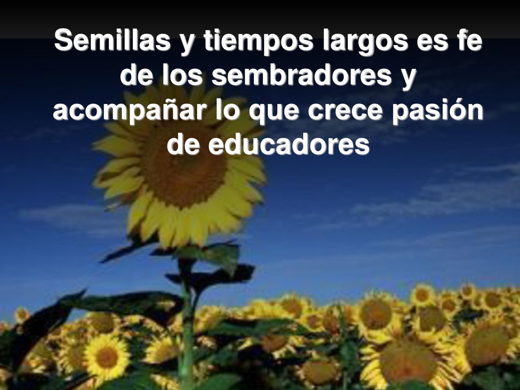 Semillas y tiempos largos es fe de los sembradores y acompañar lo que crece pasión de educadores