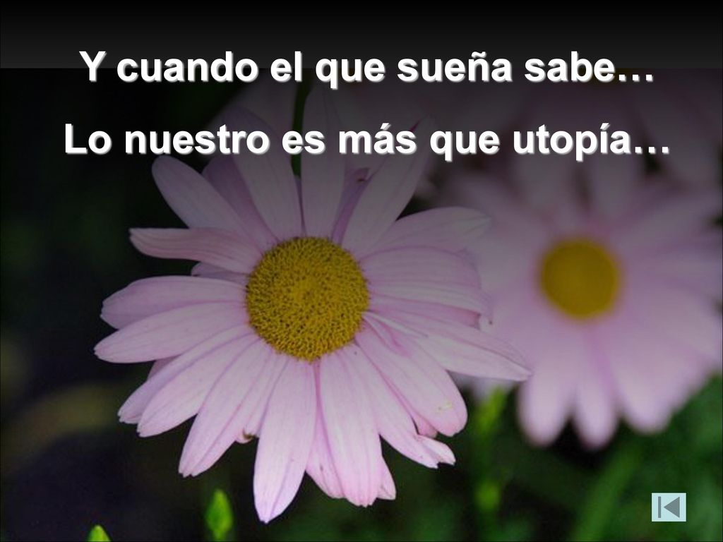 Y cuando el que sueña sabe… Lo nuestro es más que utopía…