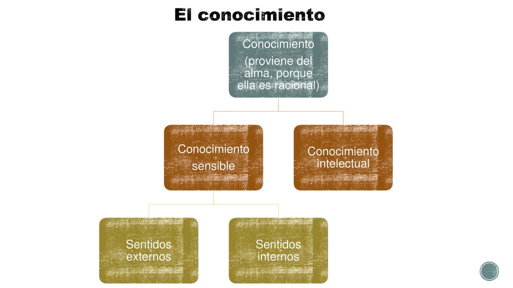 El conocimiento (proviene del alma, porque ella es racional)