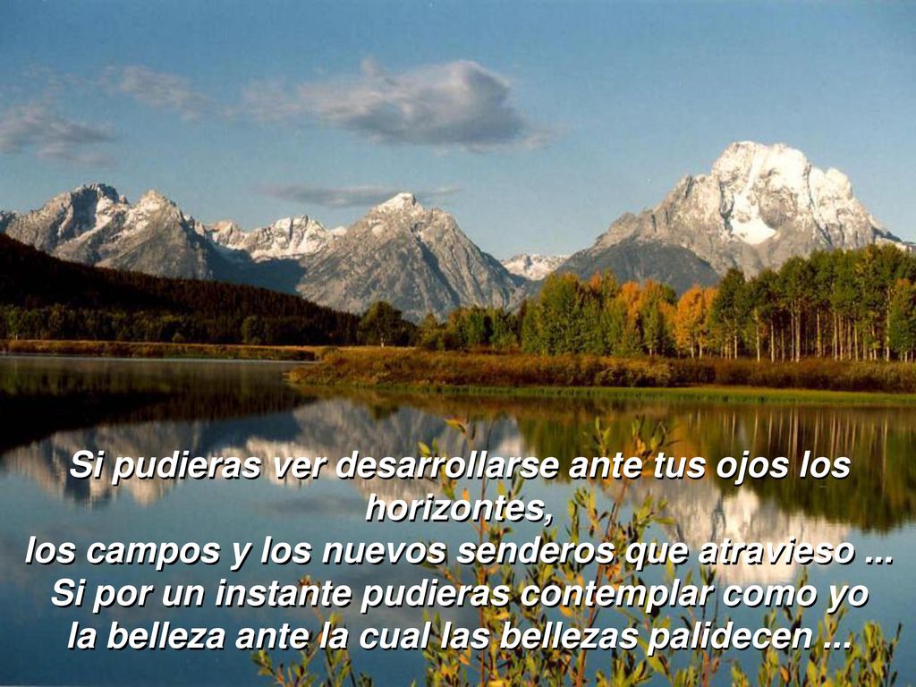 Si pudieras ver desarrollarse ante tus ojos los horizontes,