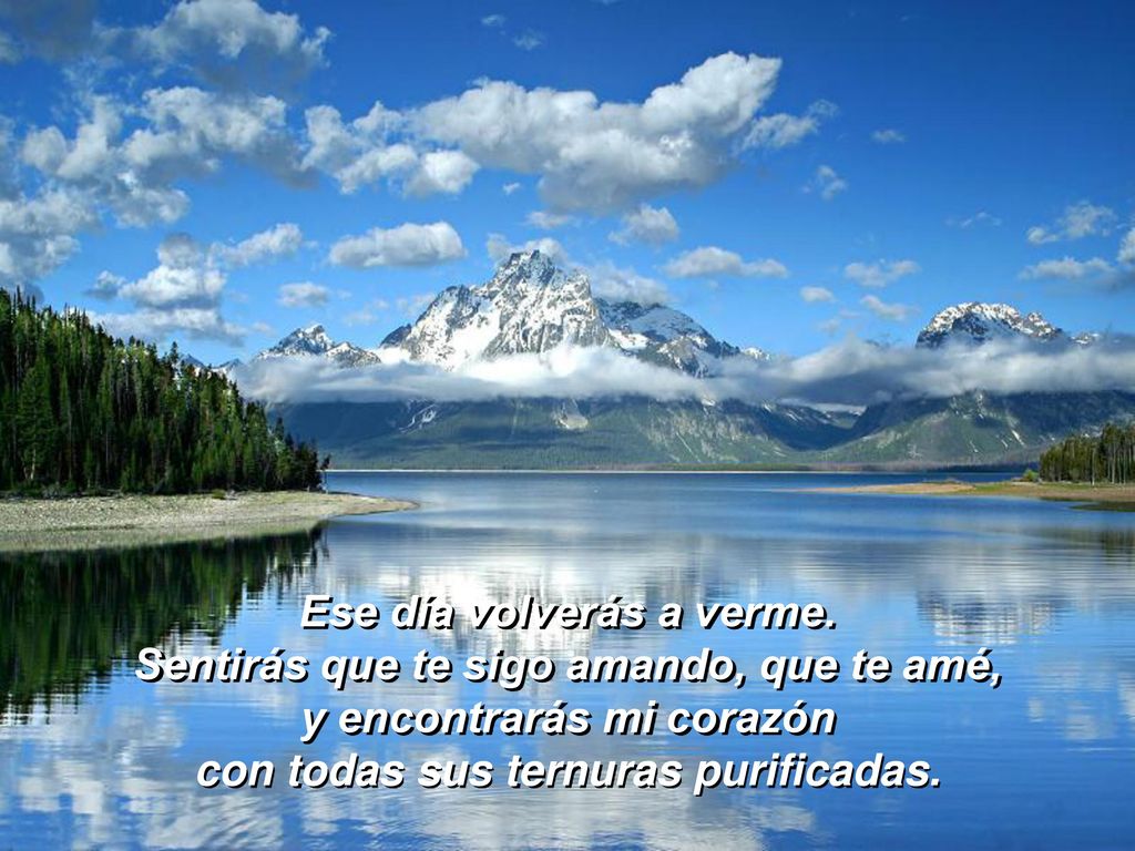 Ese día volverás a verme. Sentirás que te sigo amando, que te amé,