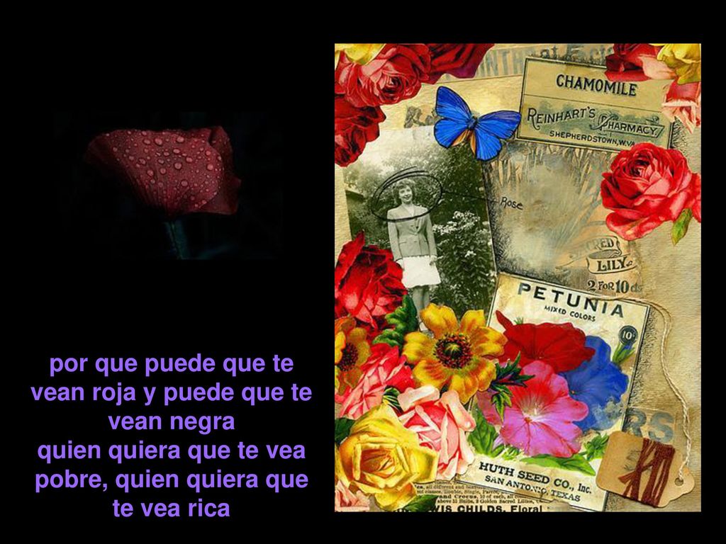 por que puede que te vean roja y puede que te vean negra quien quiera que te vea pobre, quien quiera que te vea rica