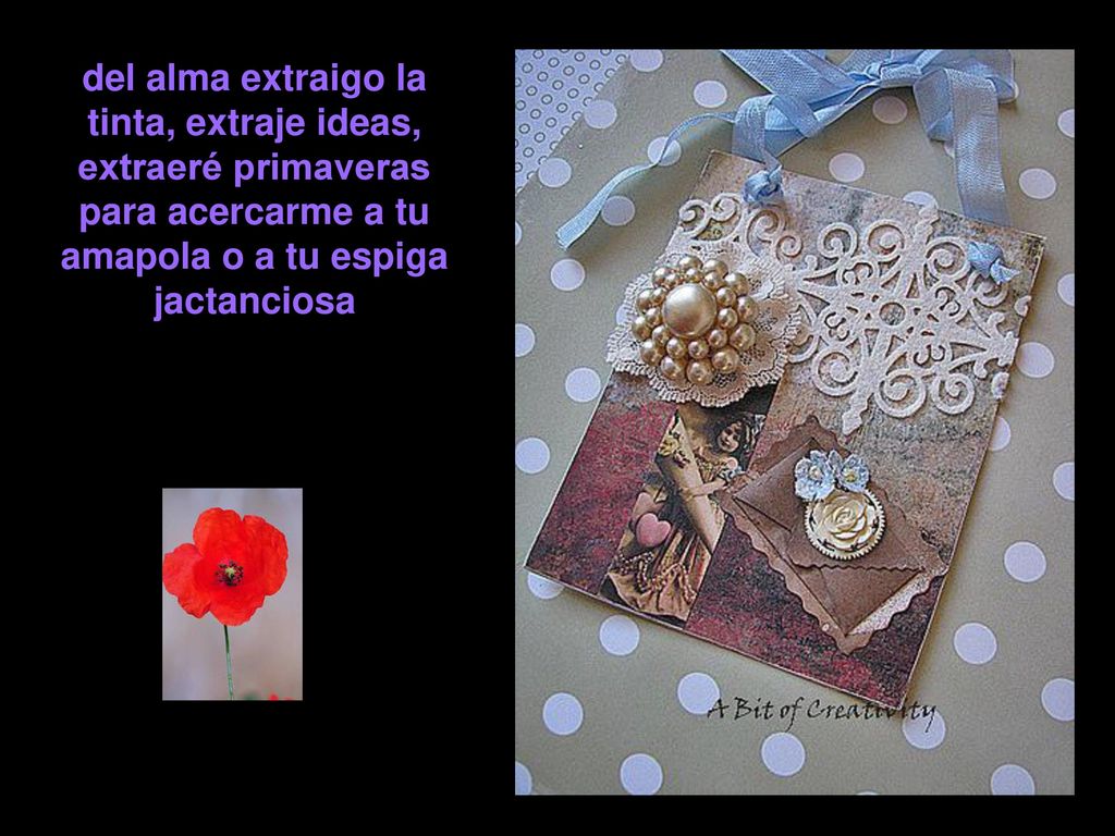 del alma extraigo la tinta, extraje ideas, extraeré primaveras para acercarme a tu amapola o a tu espiga jactanciosa