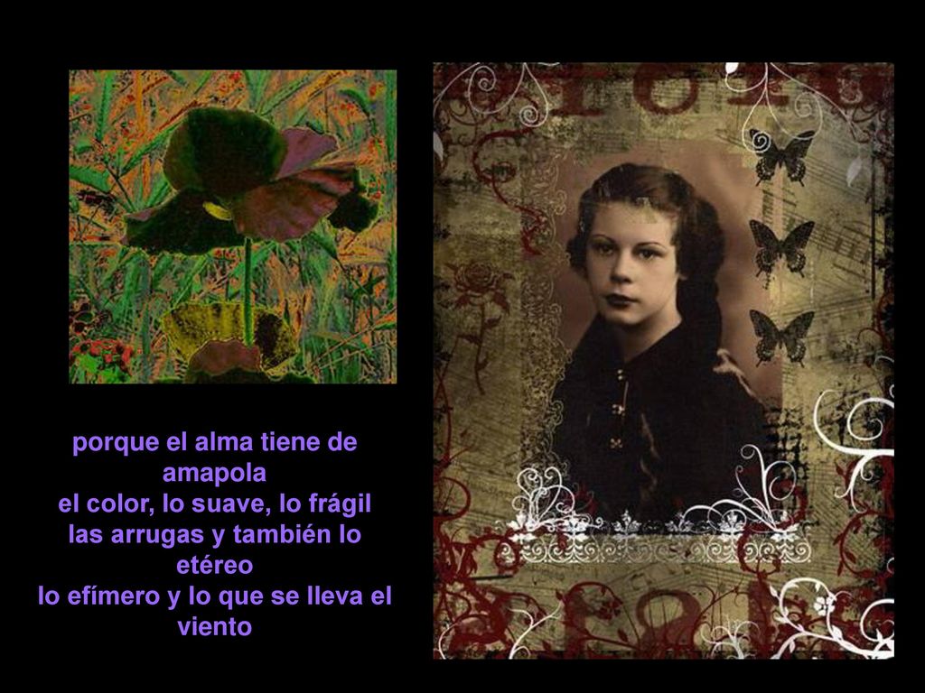 porque el alma tiene de amapola el color, lo suave, lo frágil las arrugas y también lo etéreo lo efímero y lo que se lleva el viento